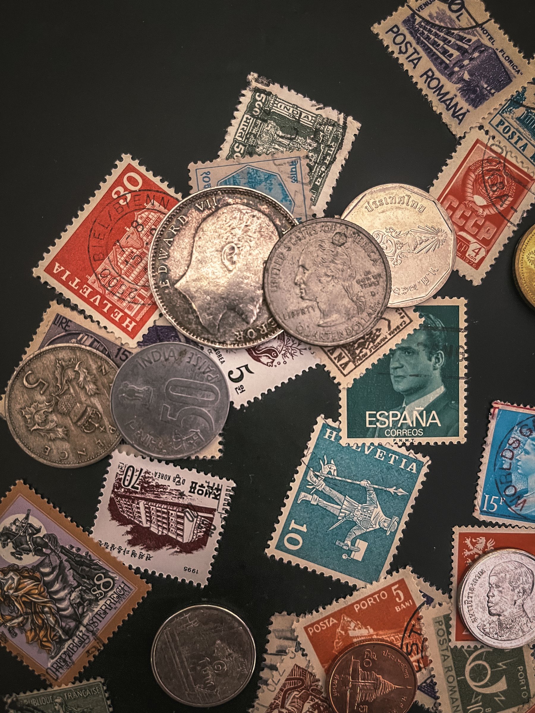Premium collector coin case