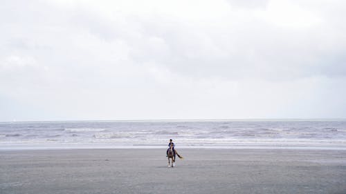 Person Riding on a Horse on the Beach 
