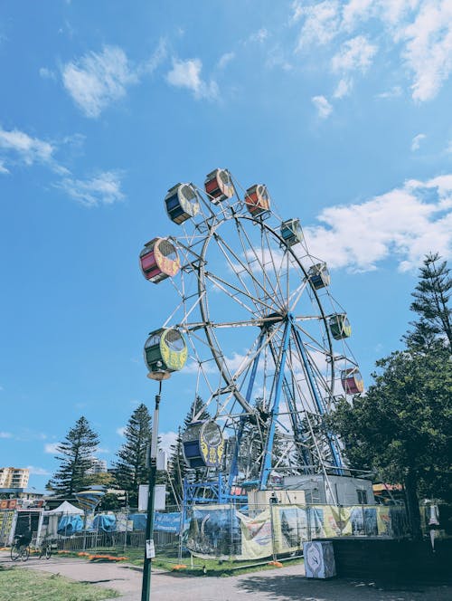 A Ferris Wheel in an Amusement Park