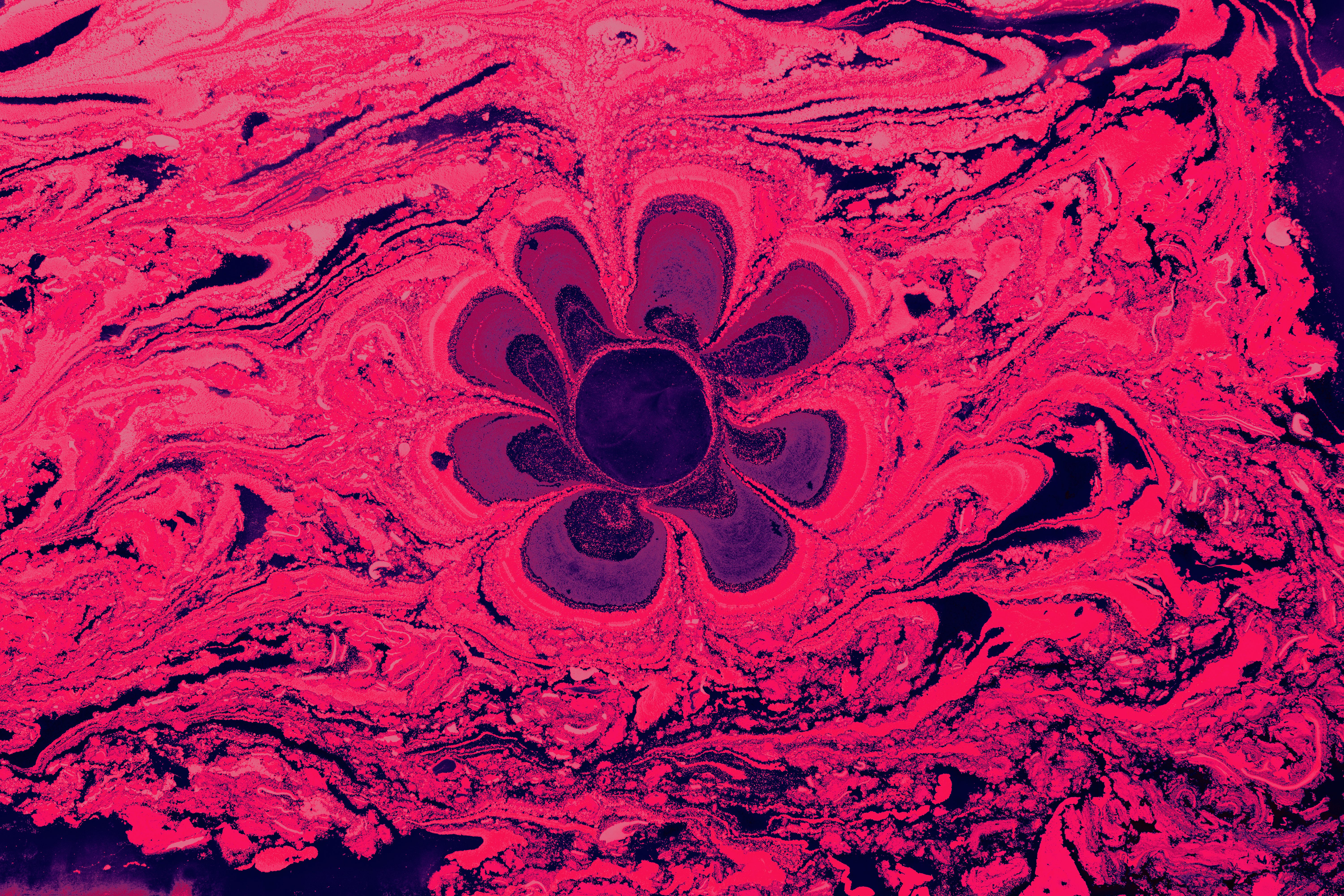 Pink, Abstract Painting · Free Stock Photo