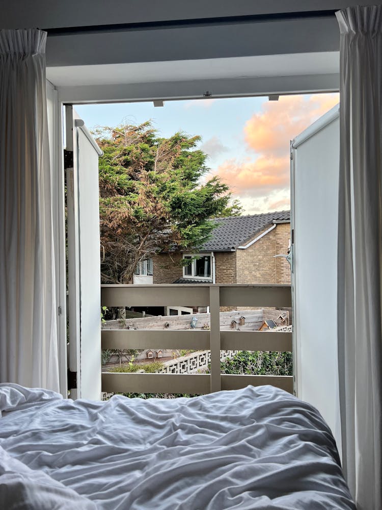 View From Bedroom Into Old House Yard