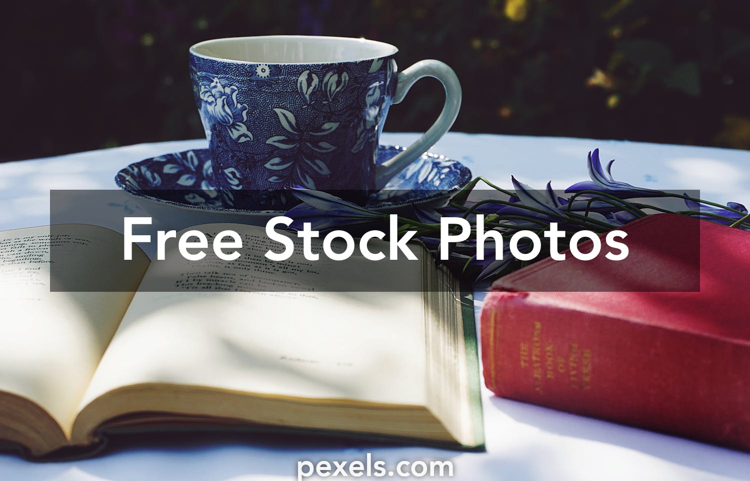 Bookbinding Photos, Download The BEST Free Bookbinding Stock Photos ...