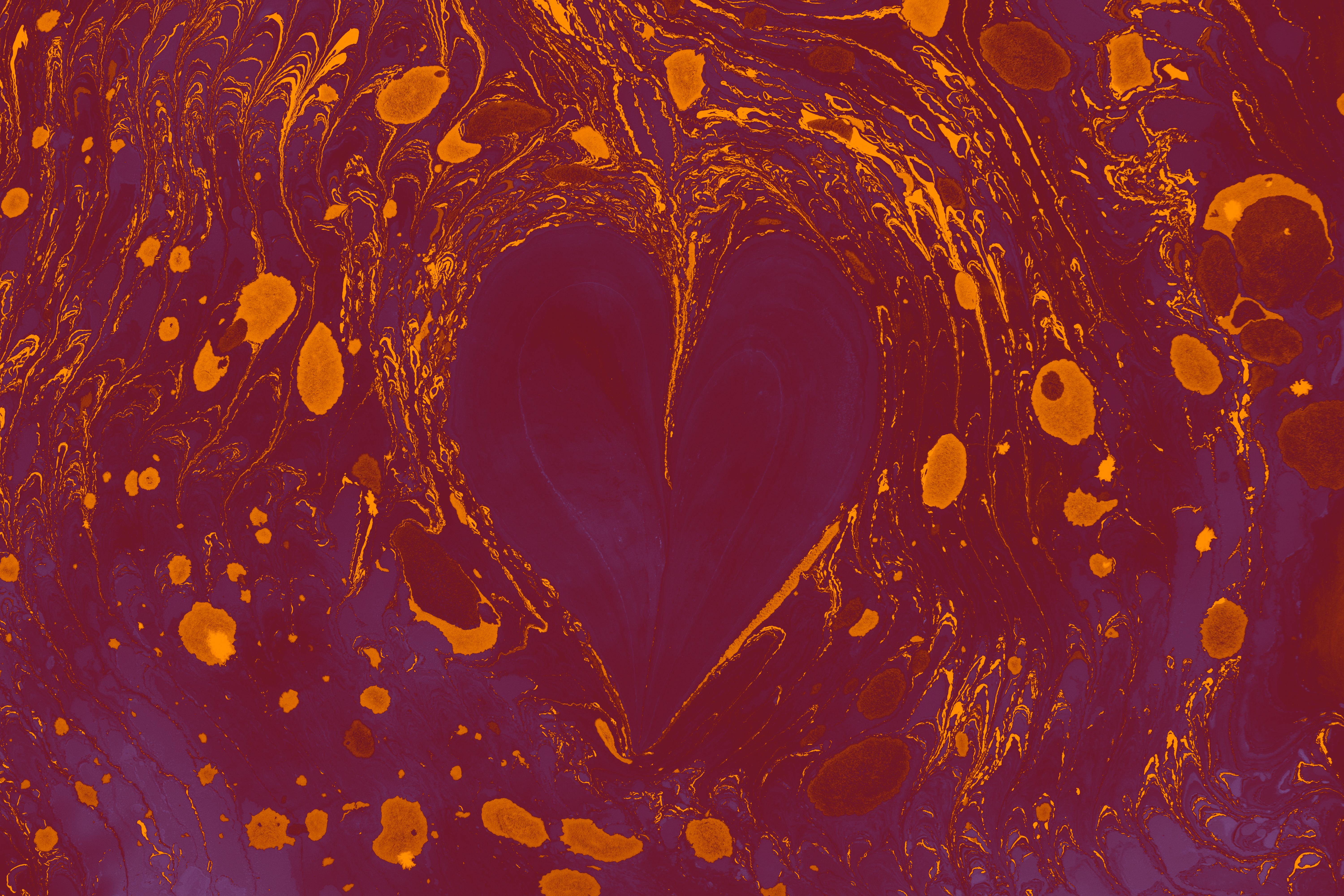 免費 做愛, 健康, 充滿活力 的 免費圖庫相片 圖庫相片