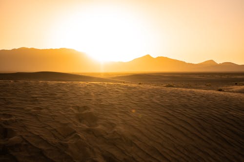 Sahara Desert