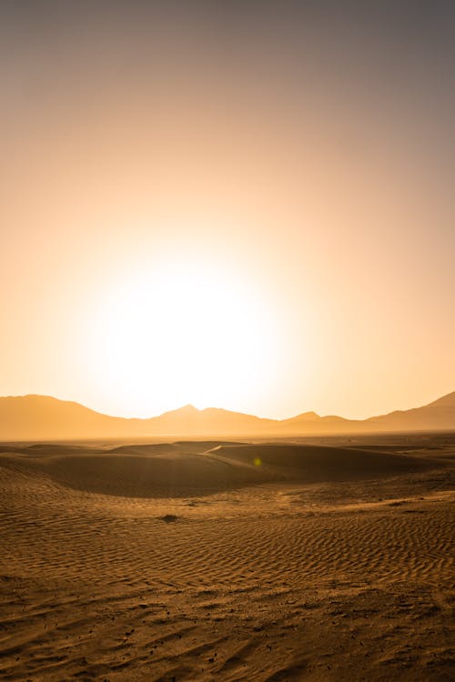 Sahara Desert