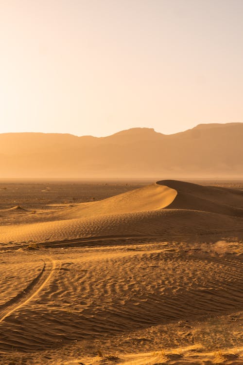 Dunes in Desert Landscape on Sunset