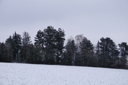 Snowy field and forest in Plochingen, Germany during winter.