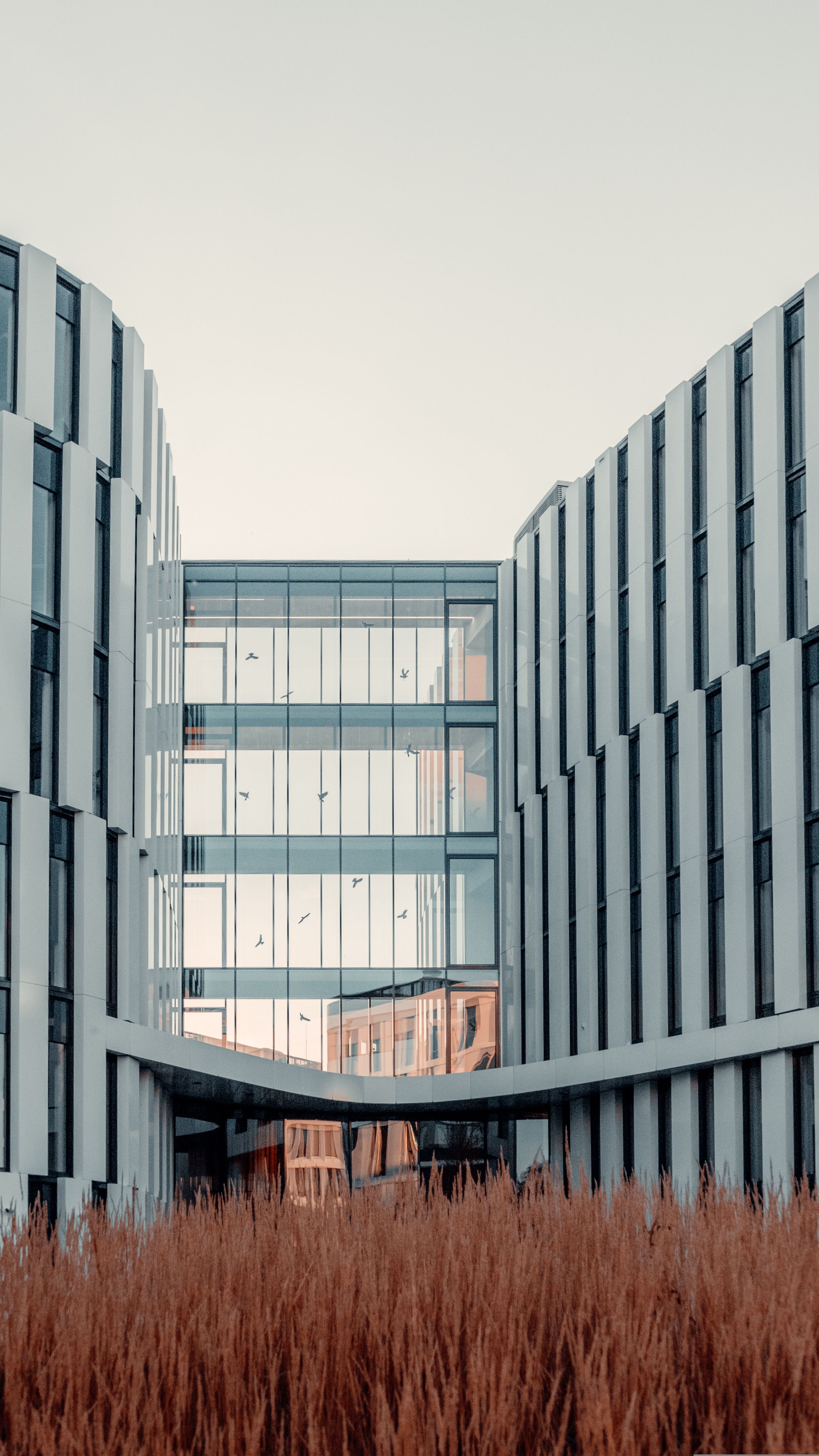 A contemporary office building featuring sleek glass facades and modern architecture.