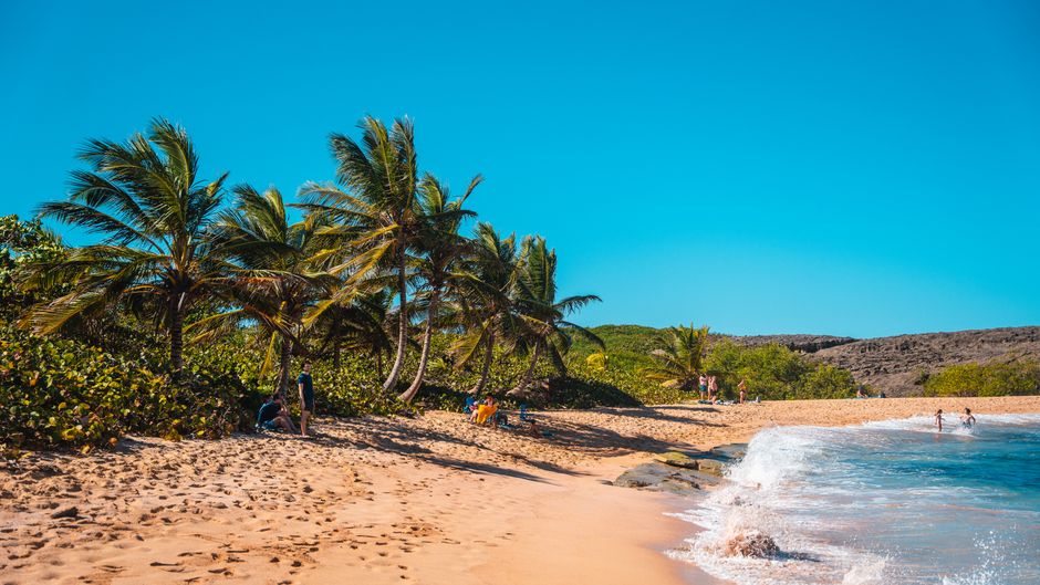 Idyllic tropical beach scene with palm trees, golden sand, and blue sky. Perfect for summer vacation inspirations.