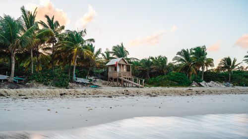 Free Scenic tropical beach with palm trees and a wooden hut during sunset, ideal for travel inspiration. Stock Photo