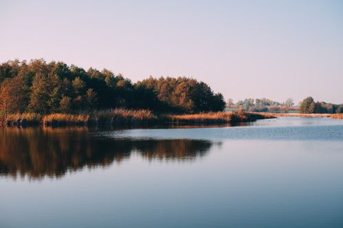 Free Picturesque view of silent river with pure rippled water near growing trees under cloudless sky in fall in daylight in countryside Stock Photo
