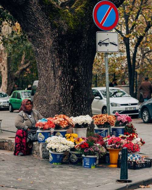 Foto stok gratis batang pohon, buket, bunga-bunga