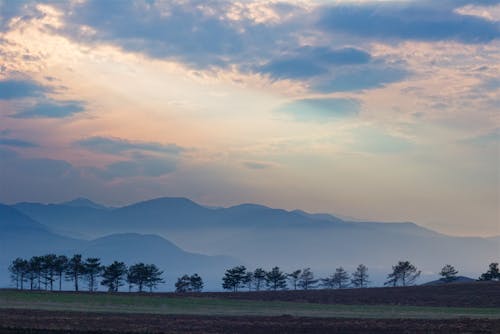 Landscape with Trees and Mountains in Mist