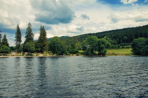 A Lake Near Green Pine Trees 