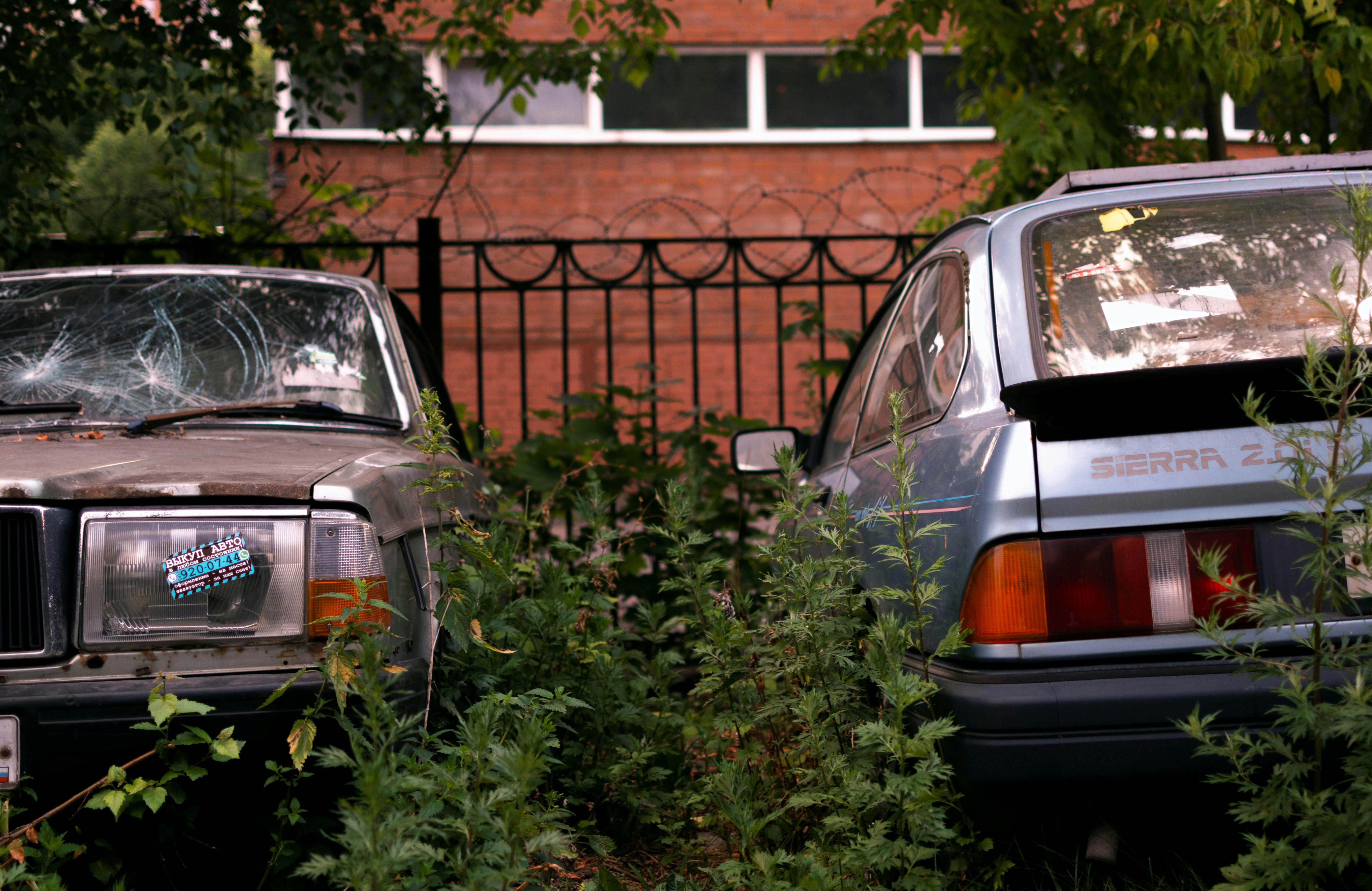 Where’s the Best Place to Buy Used Cars? — Photo by Vitali Adutskevich on Pexels