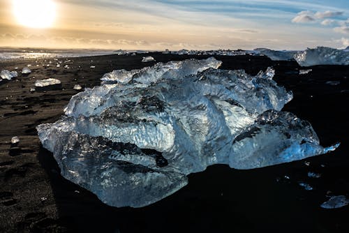Základová fotografie zdarma na téma Arktida, kus, led