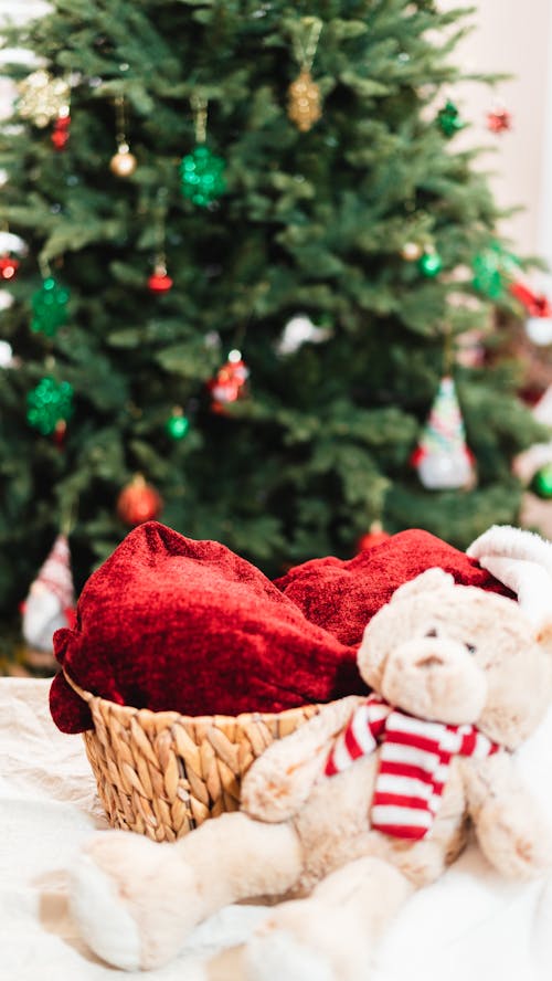 Foto stok gratis dekorasi Natal, keranjang, mainan barang