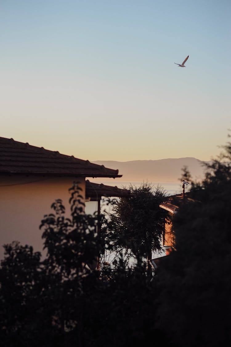 Beautiful Early Morning View Of Lake And Mountain