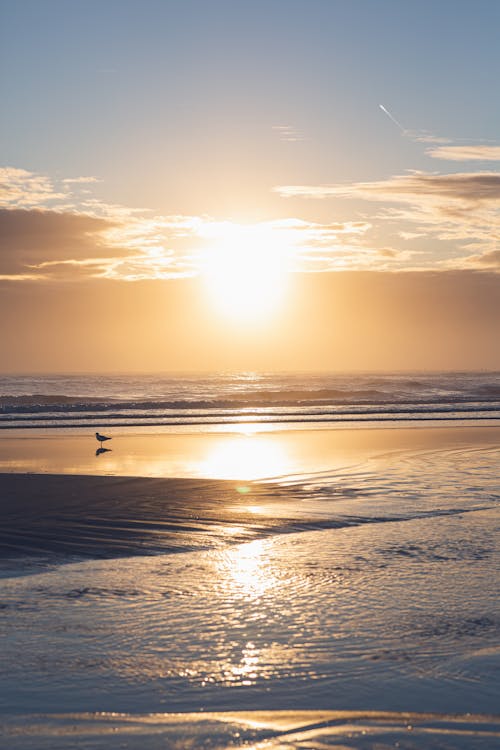 Photo of a Beach during Sunrise