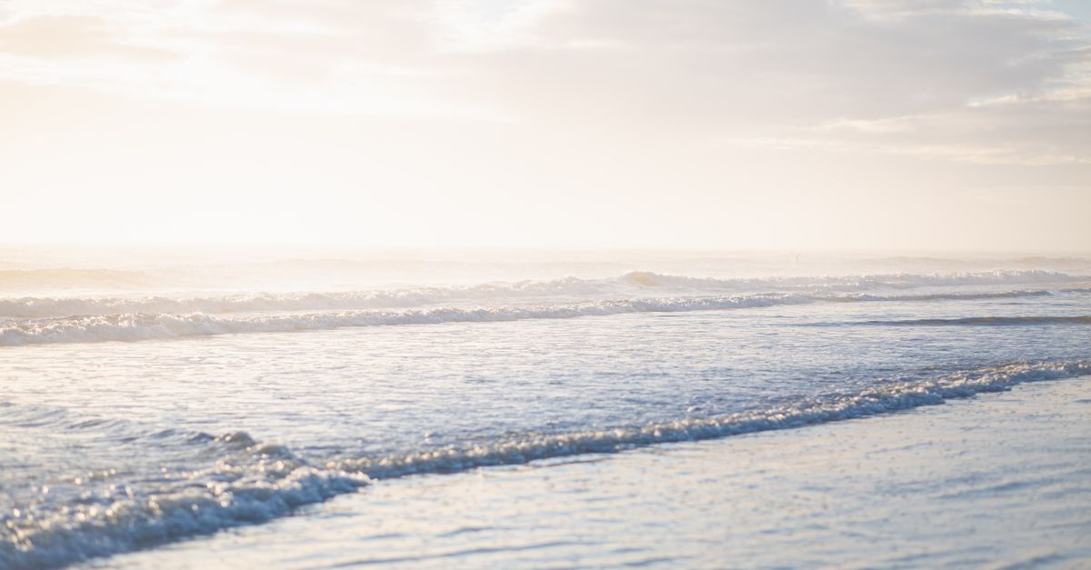 Emotional Waves Bring Clarity and Comfort