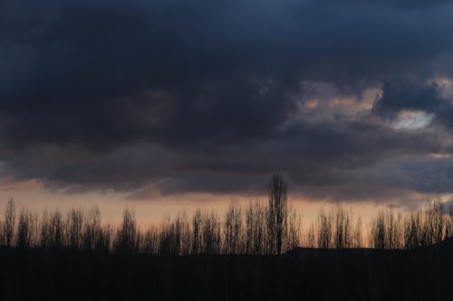 Бесплатное стоковое фото с буря, деревья, метеорология