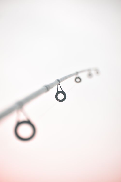 Free A fishing rod captured in a minimalist style with rings in focus against a white background. Stock Photo