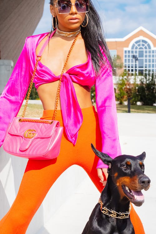 Foto stok gratis anjing, baju merah muda, bergaya
