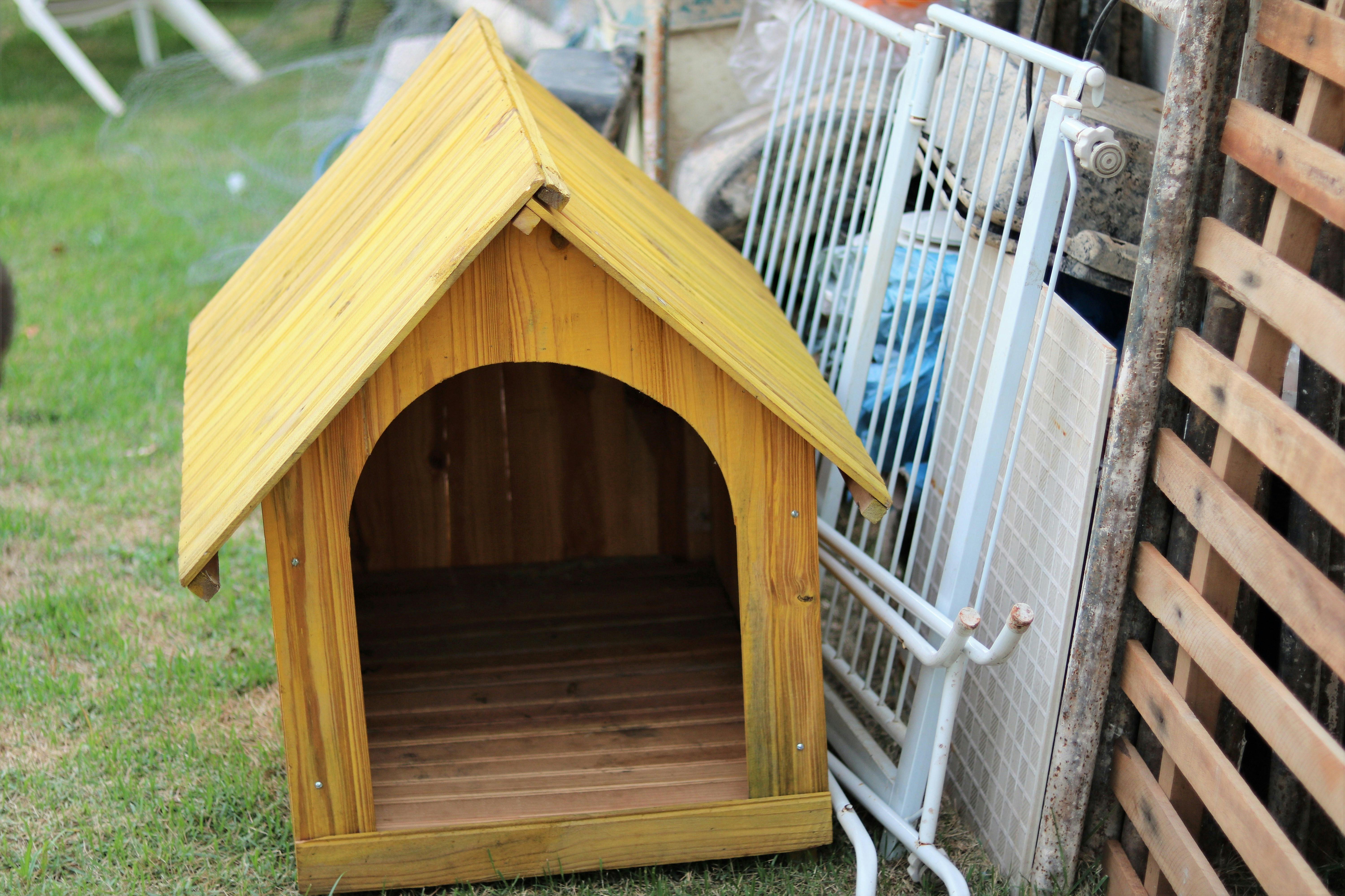 Free stock photo of backyard, dog house, garbage
