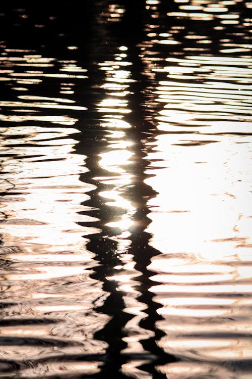 Sunbeams on Water Surface