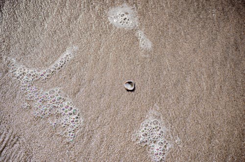 Ingyenes stockfotó felülnézet, hab, homok témában