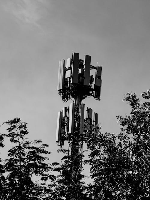 Free Close-up of a telecommunication tower amidst trees in grayscale. Stock Photo