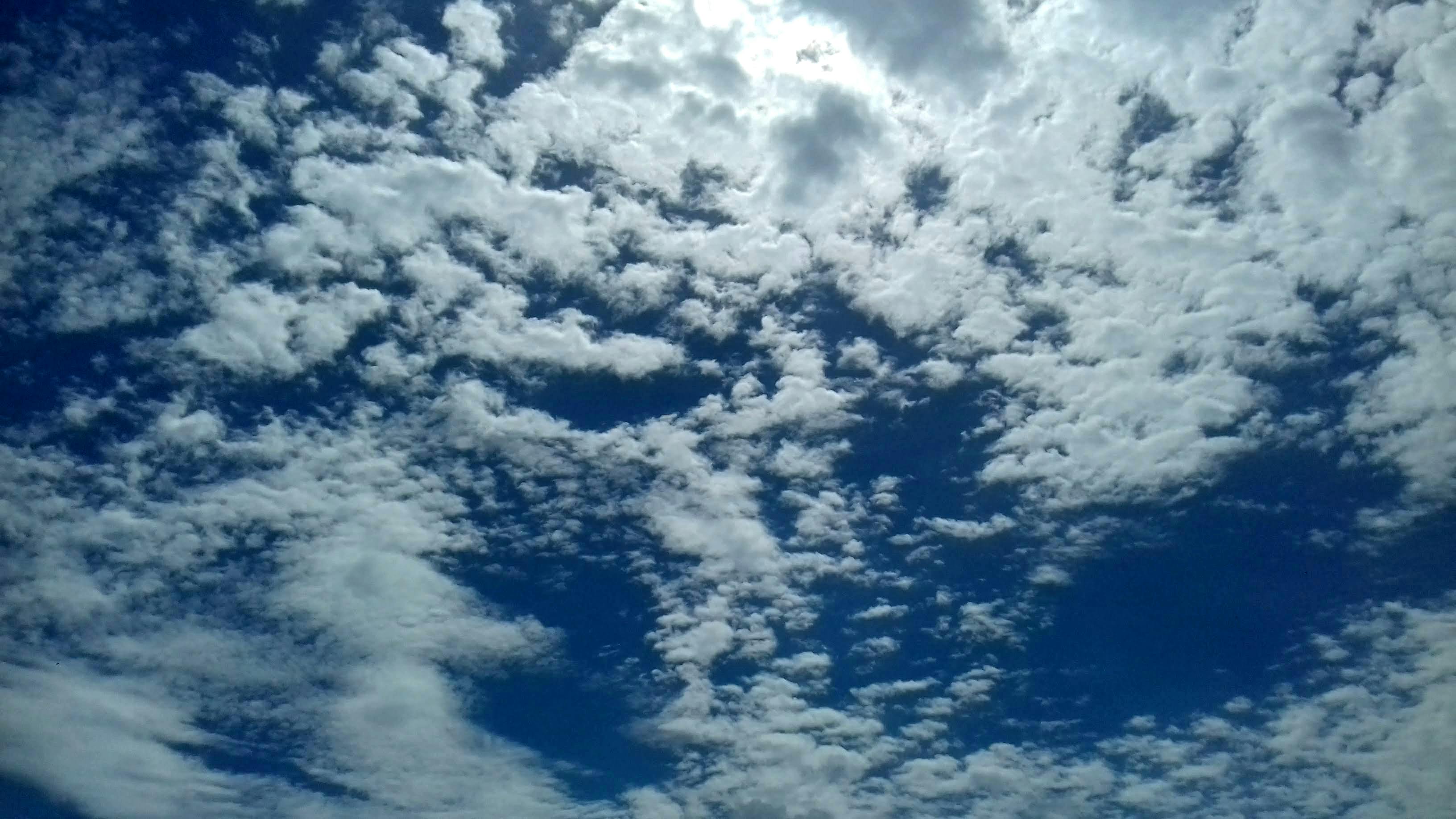 Free stock photo of cloudy sky, sky, sunny day