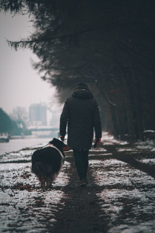 Free A man walks his dog along a snowy path in an urban park, showcasing winter vibes. Stock Photo