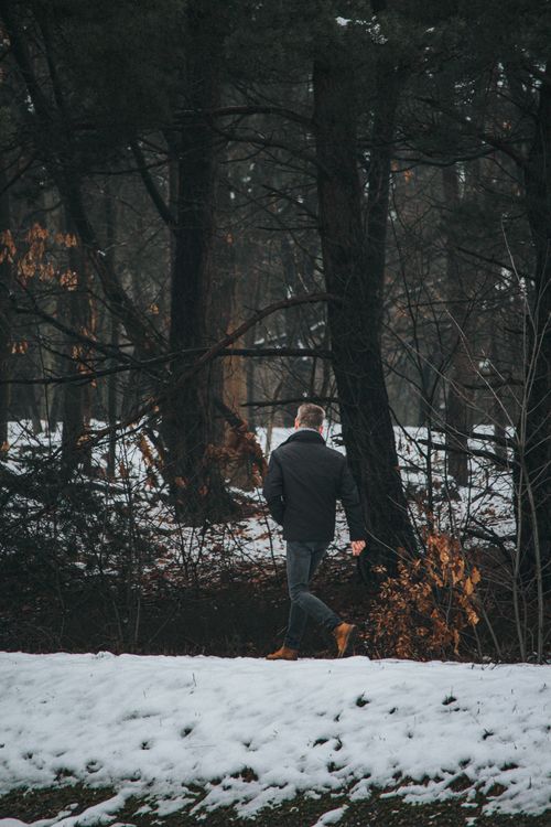 Free A man in a jacket walks through a snowy forest in winter, surrounded by trees. Stock Photo