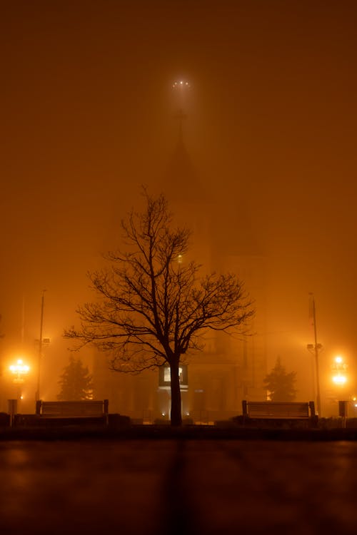 Darmowe zdjęcie z galerii z budynek, drzewo, mgła