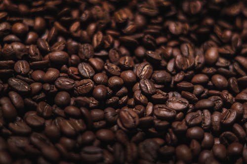 Free stock photo of black coffee, brewed coffee, coffee