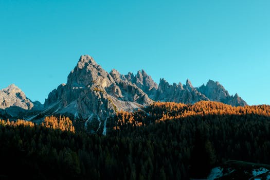 雄伟的山峰和秋季的森林沐浴在晨光中