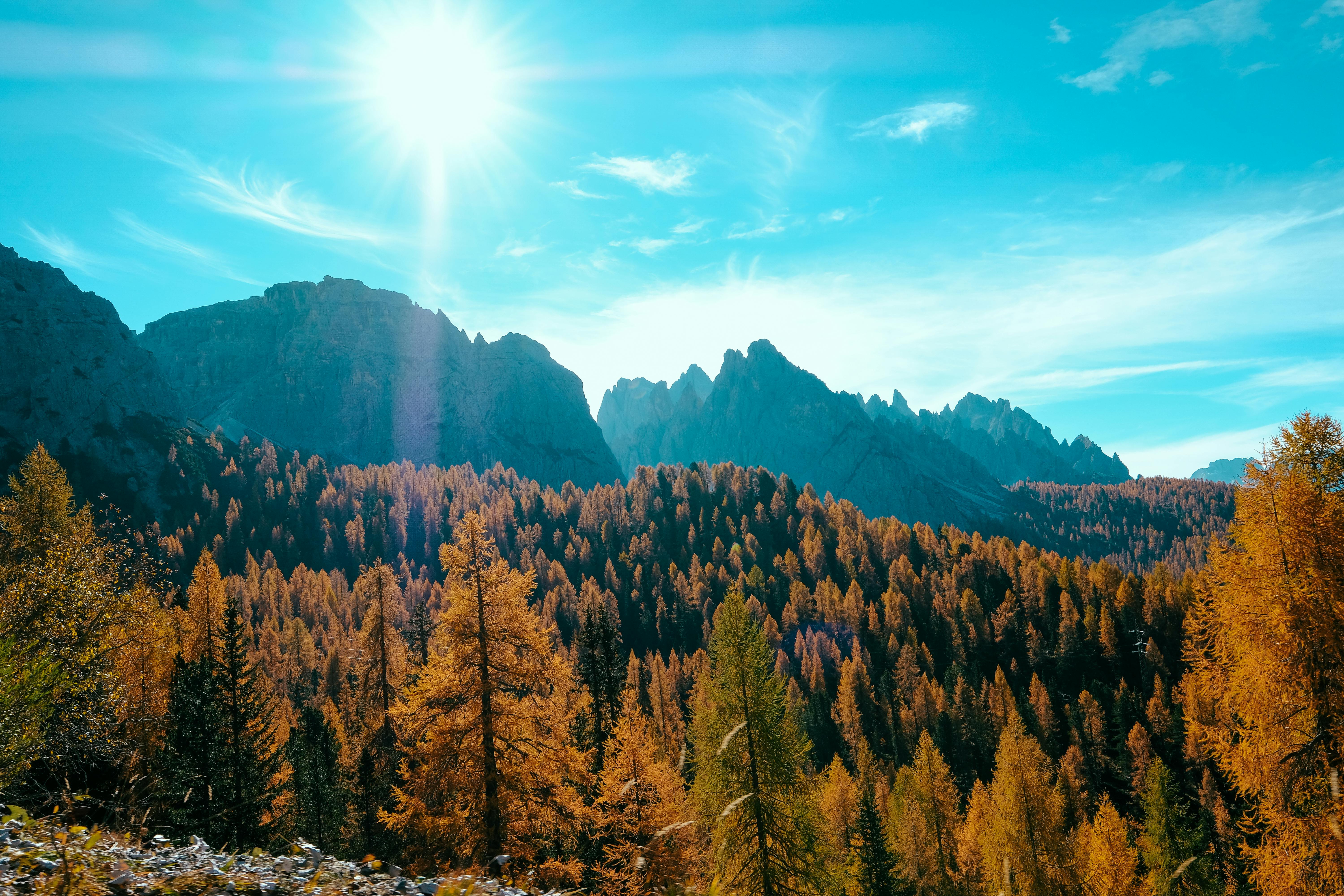 秋日山间，阳光洒满森林，景色格外美丽