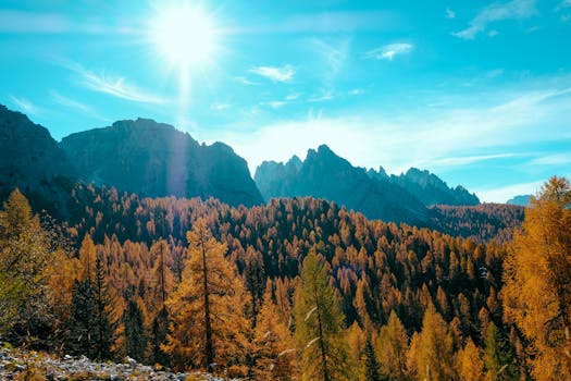 秋日山间，阳光洒满森林，景色格外美丽