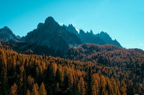 Безкоштовне стокове фото на тему «вершина гори, високий, гори»