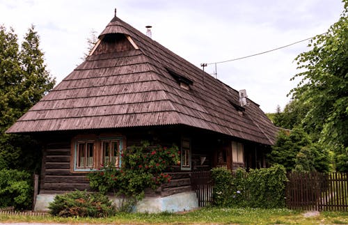 Wooden Barn Among Coniferous Trees 