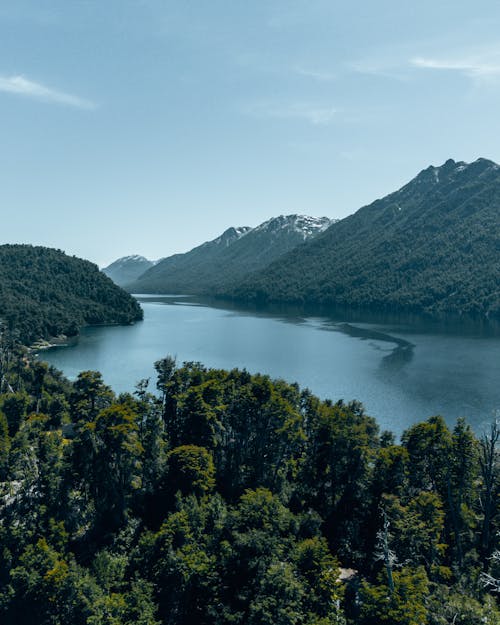 Aerial View of Trees, Mountains and a Body of Water under Blue Sky 