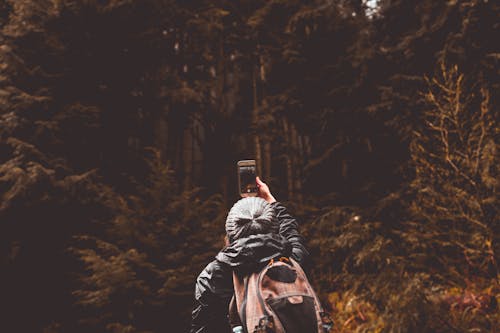 Personne Debout Devant La Forêt Lors De L'utilisation De Smartphone