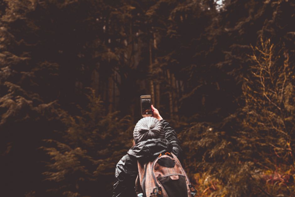 A lone hiker captures a selfie amidst the tranquil beauty of a forest.