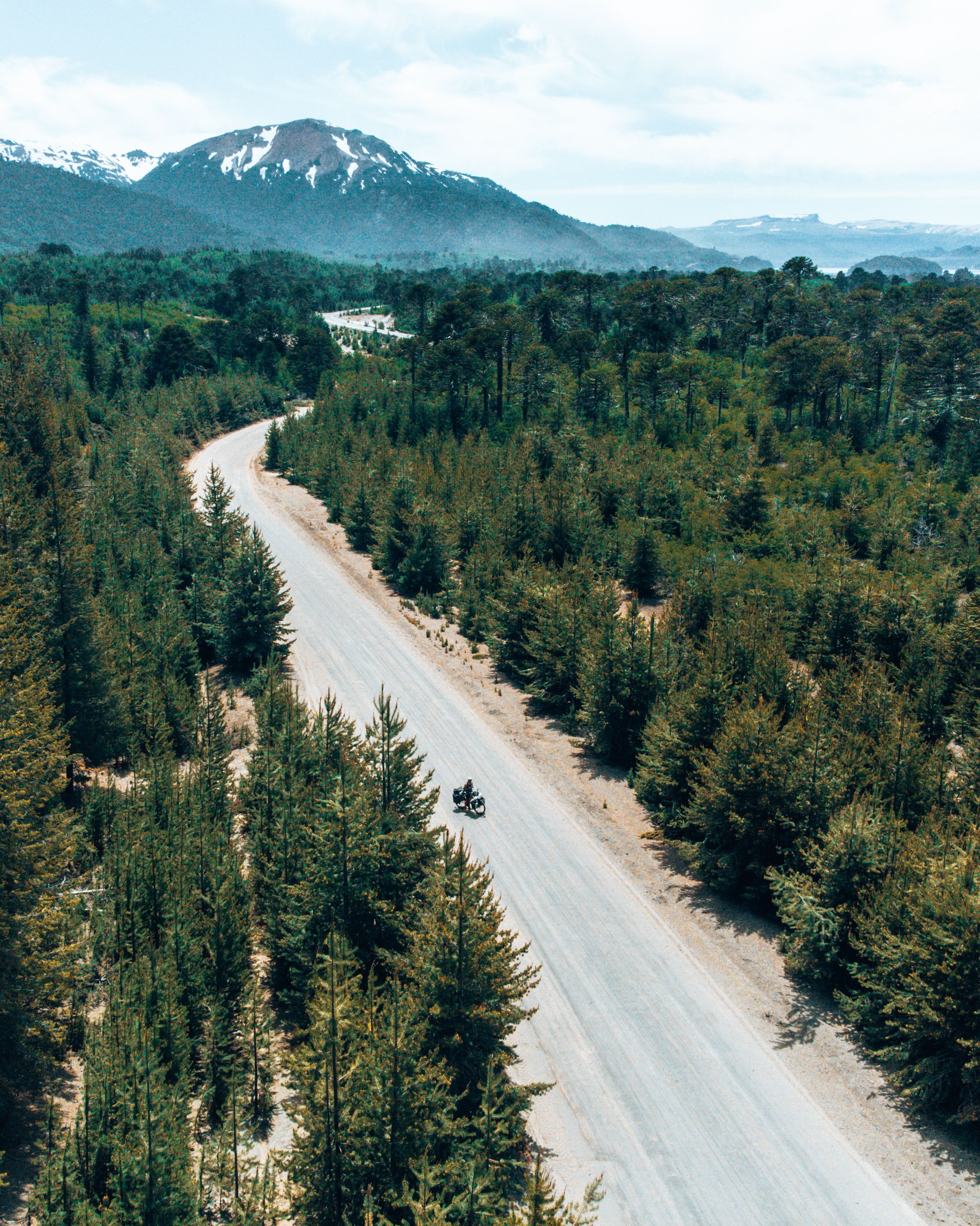 Aerial View of a Road in the Forest Leading to Mountains · Free Stock Photo
