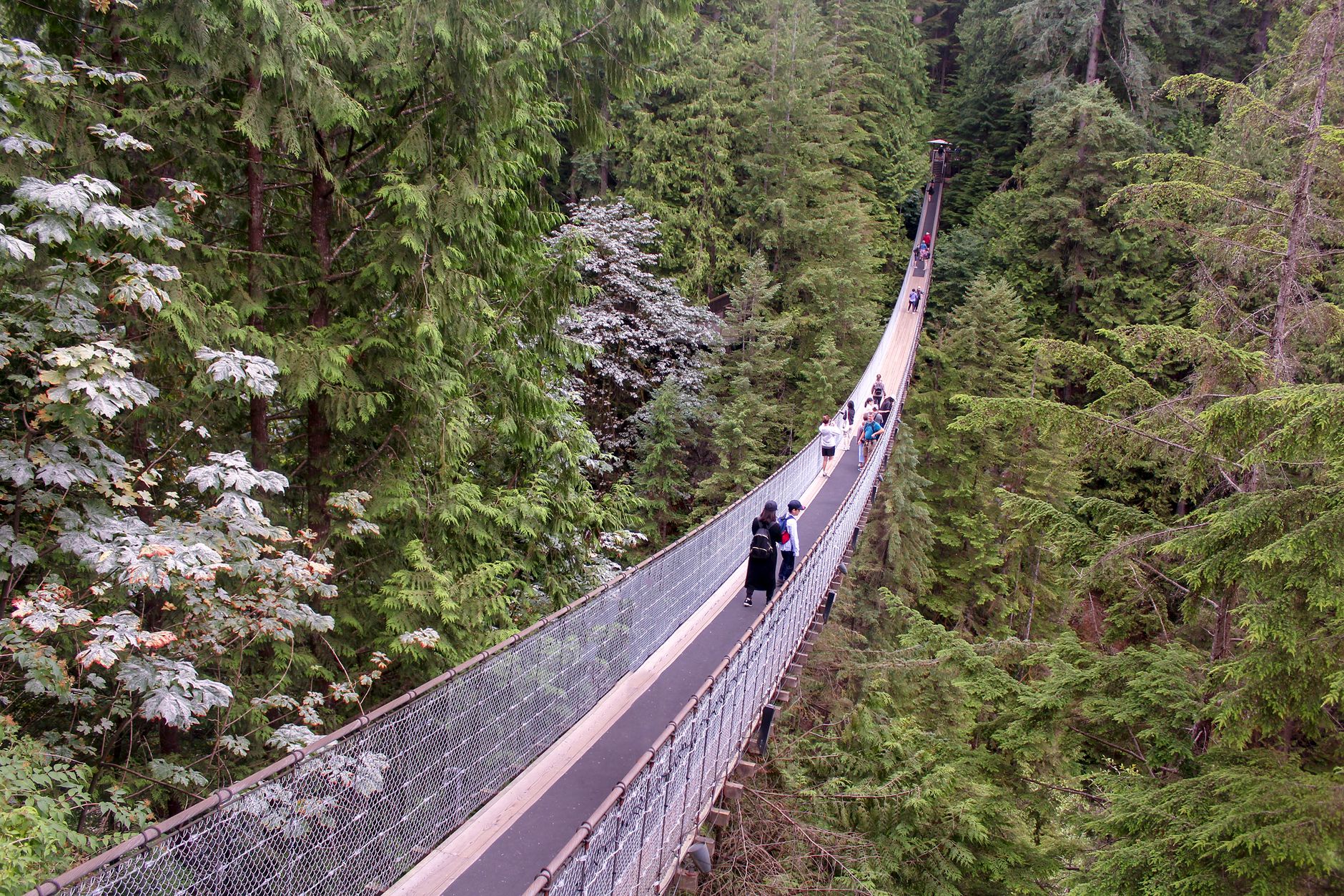 Capilano Suspension Bridge
