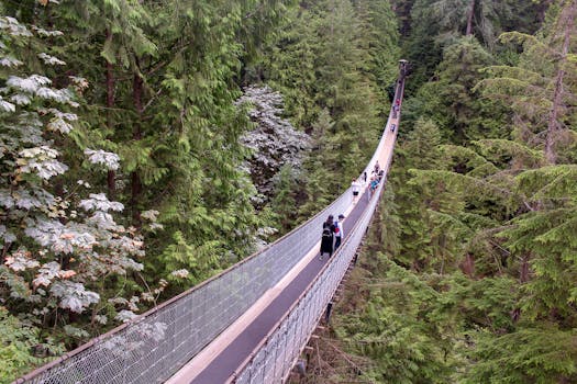 Port Douglas, Australia photo 19