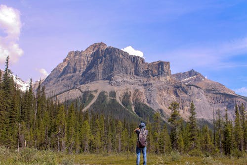 Man Taking Pictures of Forest and Mountain