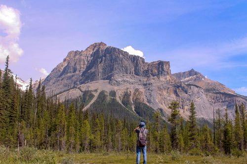 Free A hiker photographs a towering mountain amidst a serene forest setting under a clear sky. Stock Photo