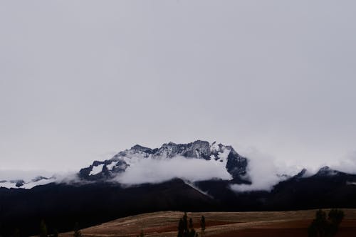 アンデス山脈, クラウドフォレスト, 聖なる谷の無料の写真素材